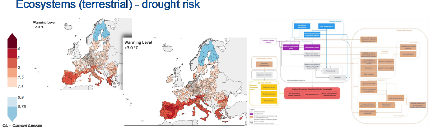 The European Drought Risk Atlas. Impact chain (right) and average annual net primary production
                      loss (left) for terrestrial ecosystems in warming level +2°C and +3°C compared to present conditions.